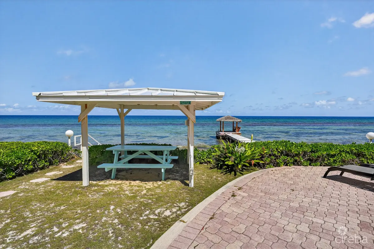 20260324132805 CIREBANorthernLights37