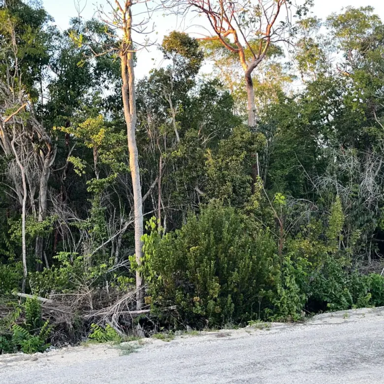 20260401235224 Cayman Brac Land