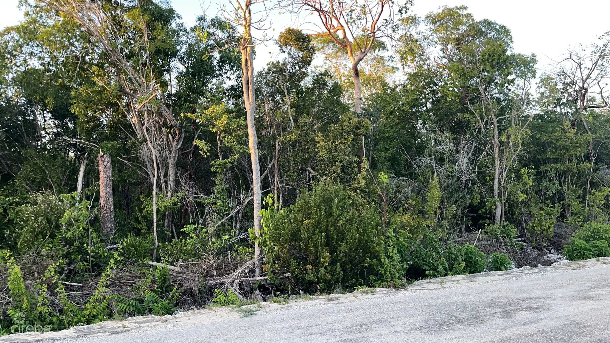 20260401235224 Cayman Brac Land