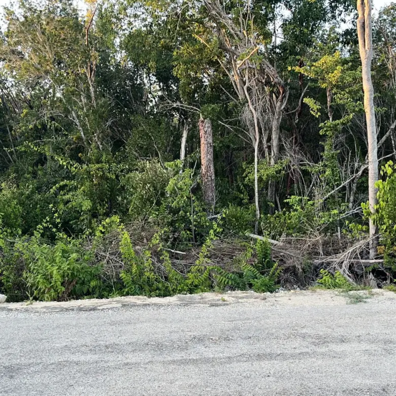 20260401235621 Cayman Brac