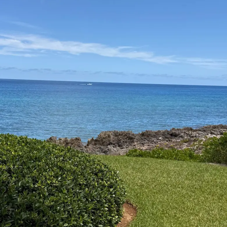 20260408143602 OPV2 view