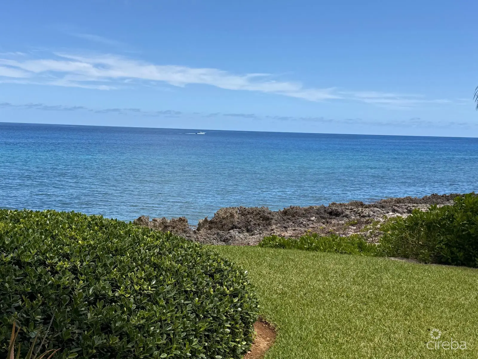 20260408143602 OPV2 view