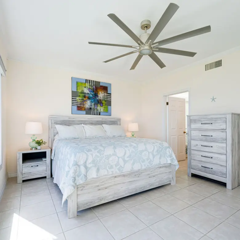 20260410074207 Primary2 OPV2