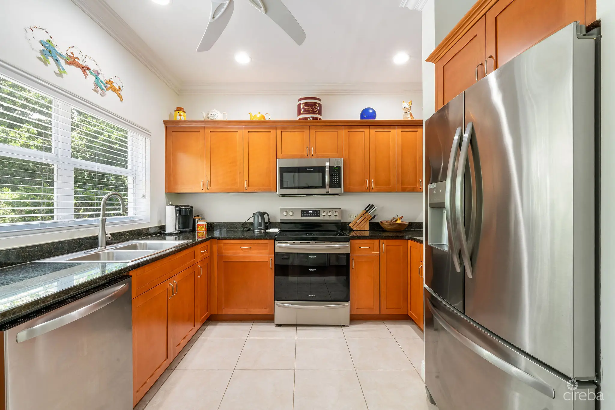 20260408162759 DSC00218