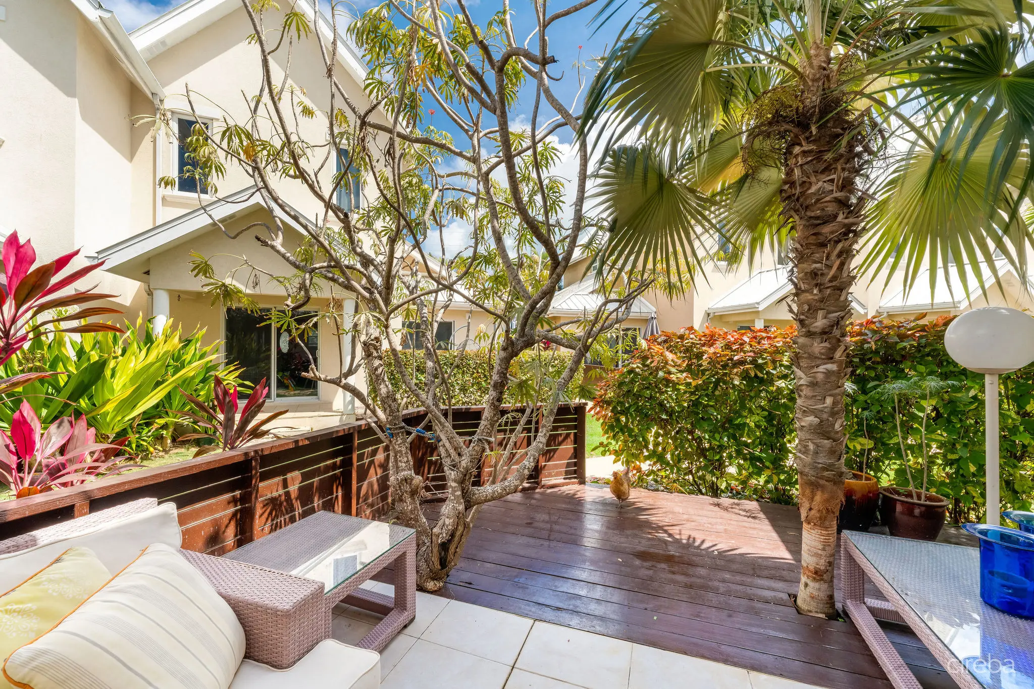 20260408163557 DSC00393