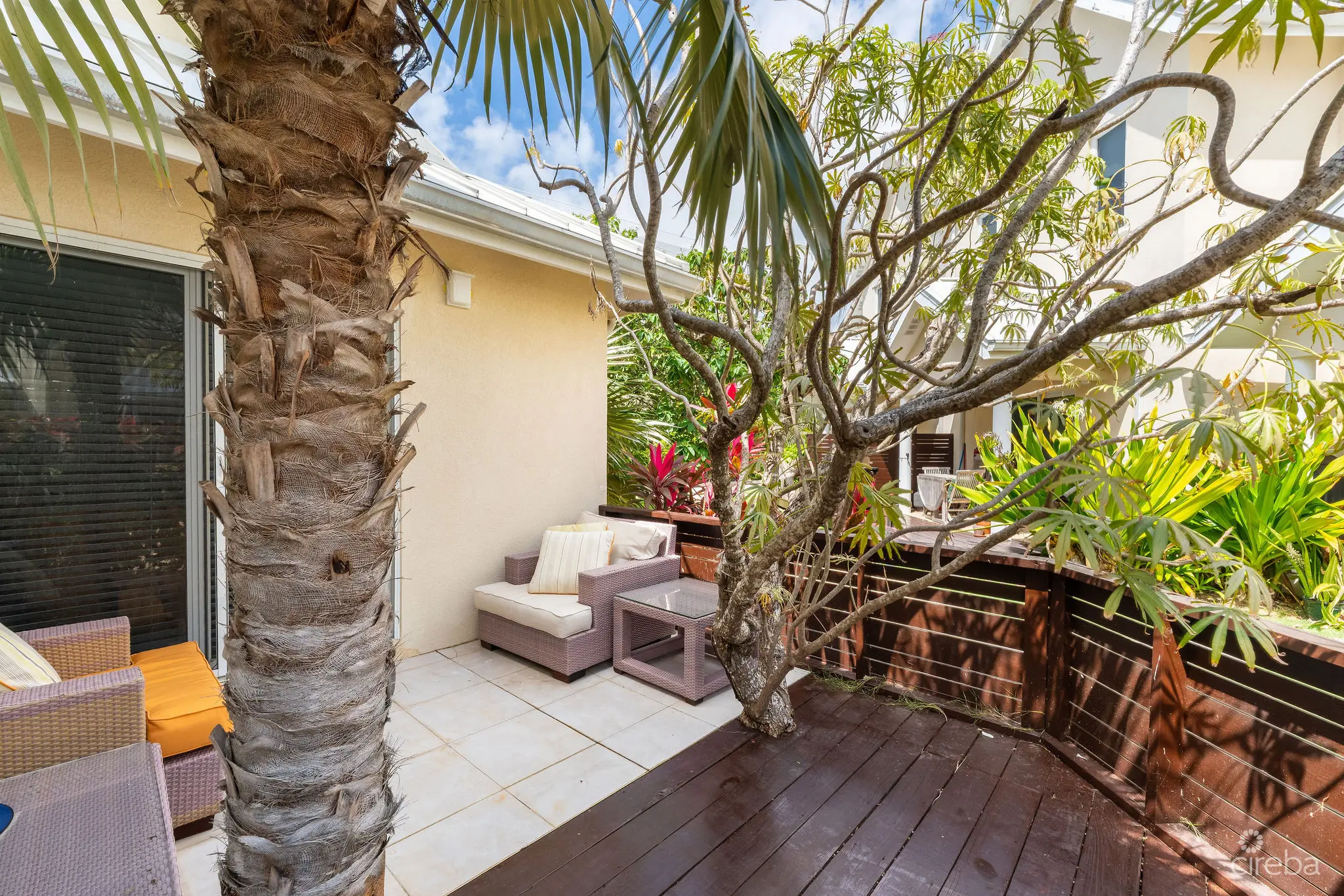 20260408163605 DSC00383