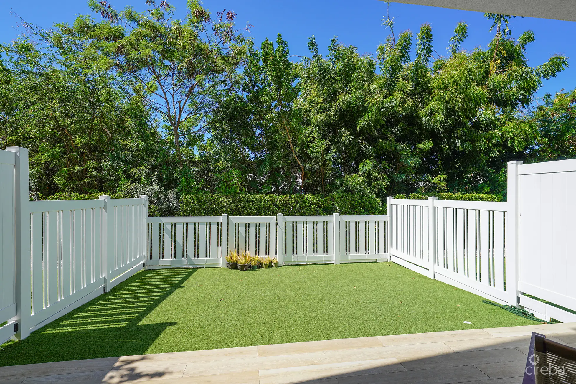 20260410103415 DSC05174