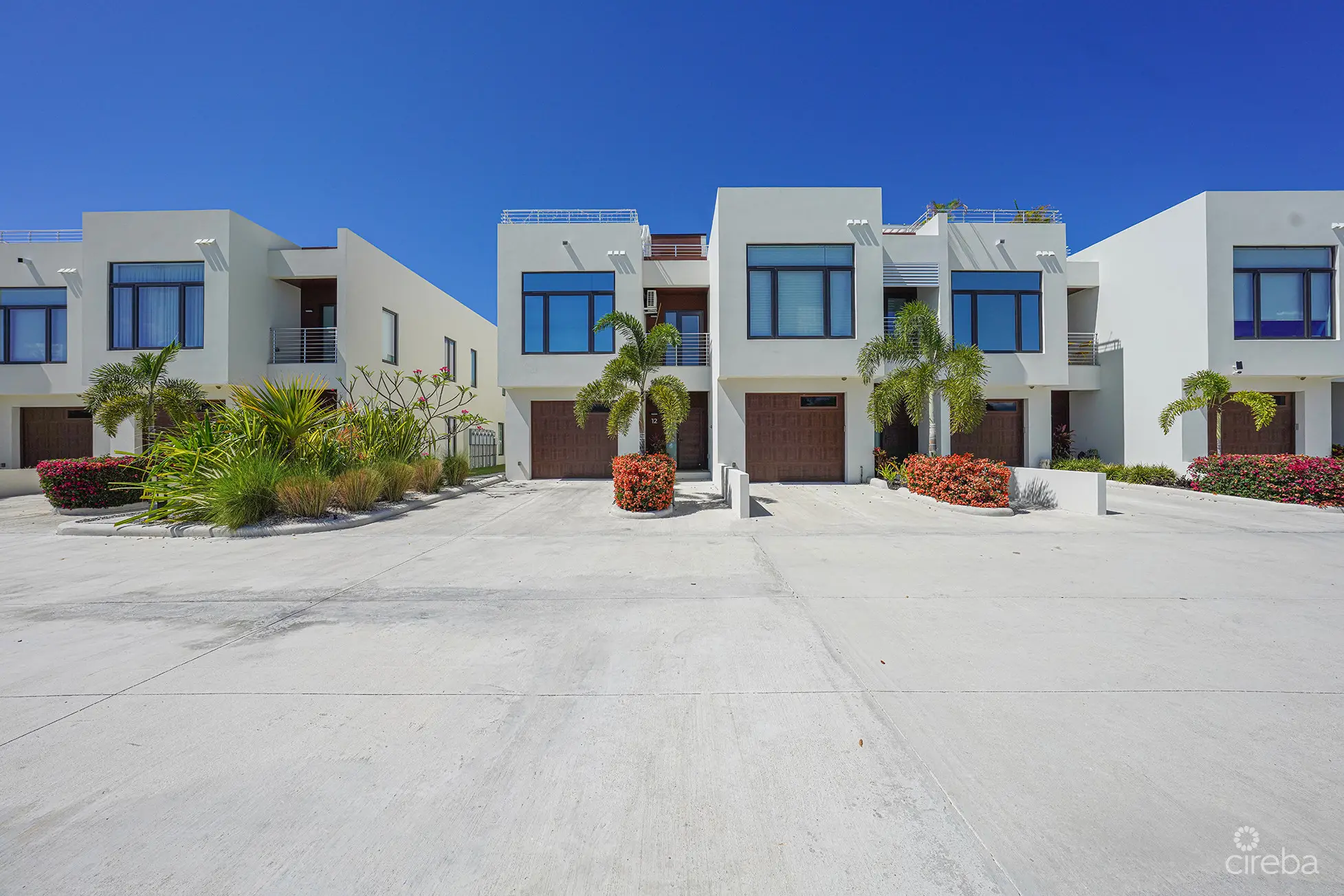 20260410103444 DSC05106