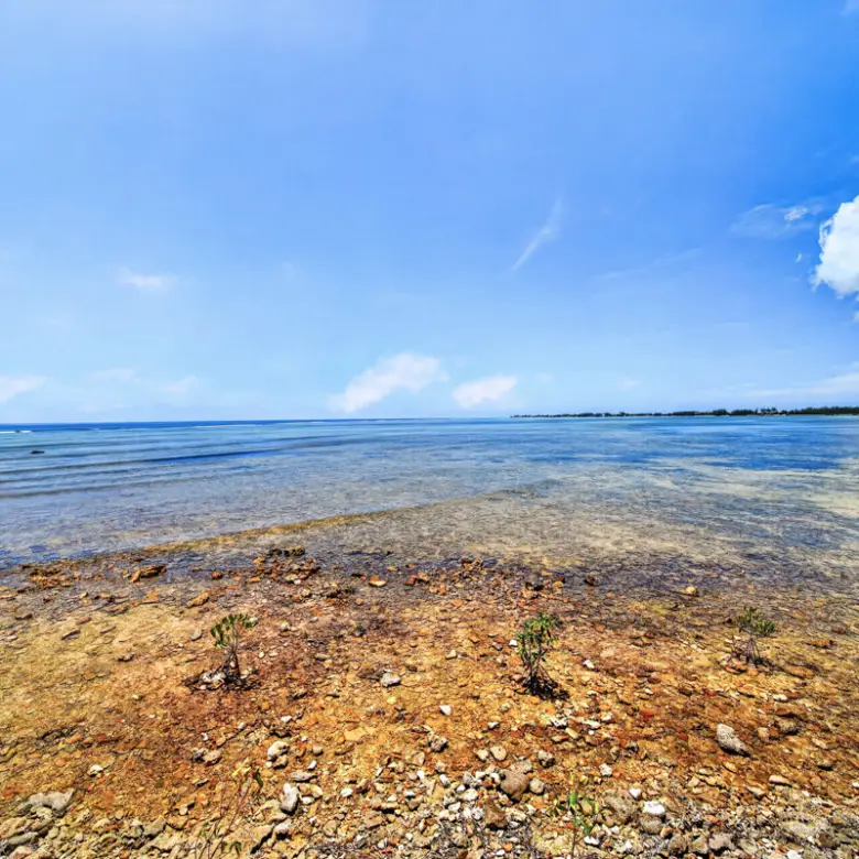 20260413102822 CIREBAPalacades14