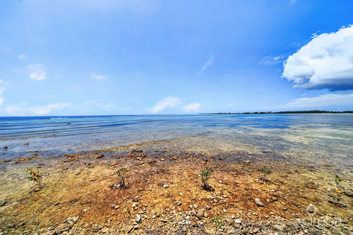 20260413102822 CIREBAPalacades14