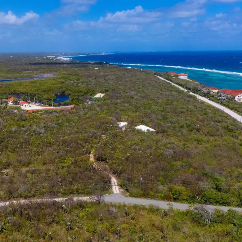 20260415122958 DJI 20260414102513 0281 D