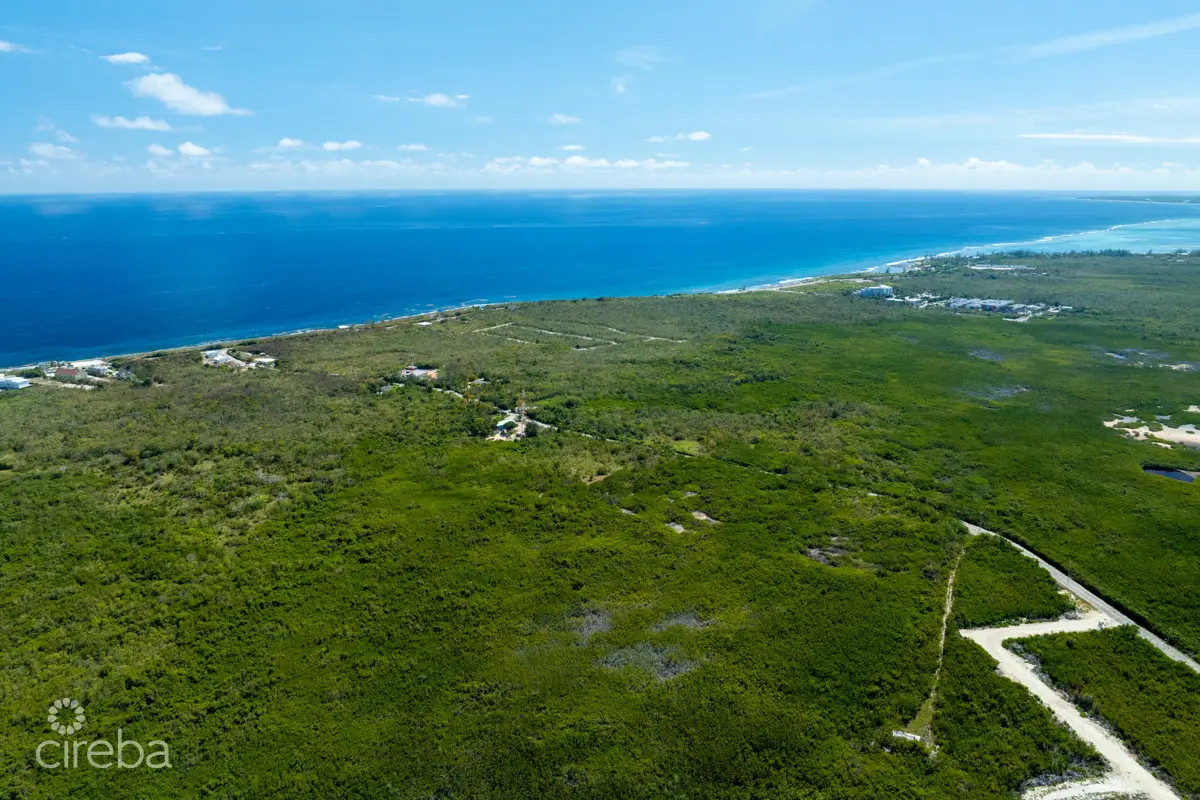 20260415012540 CIREBAhighrockdevland13