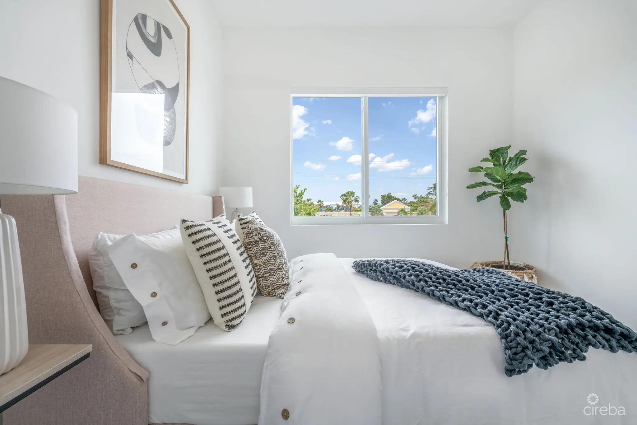 20260407151414 bed 2 close up