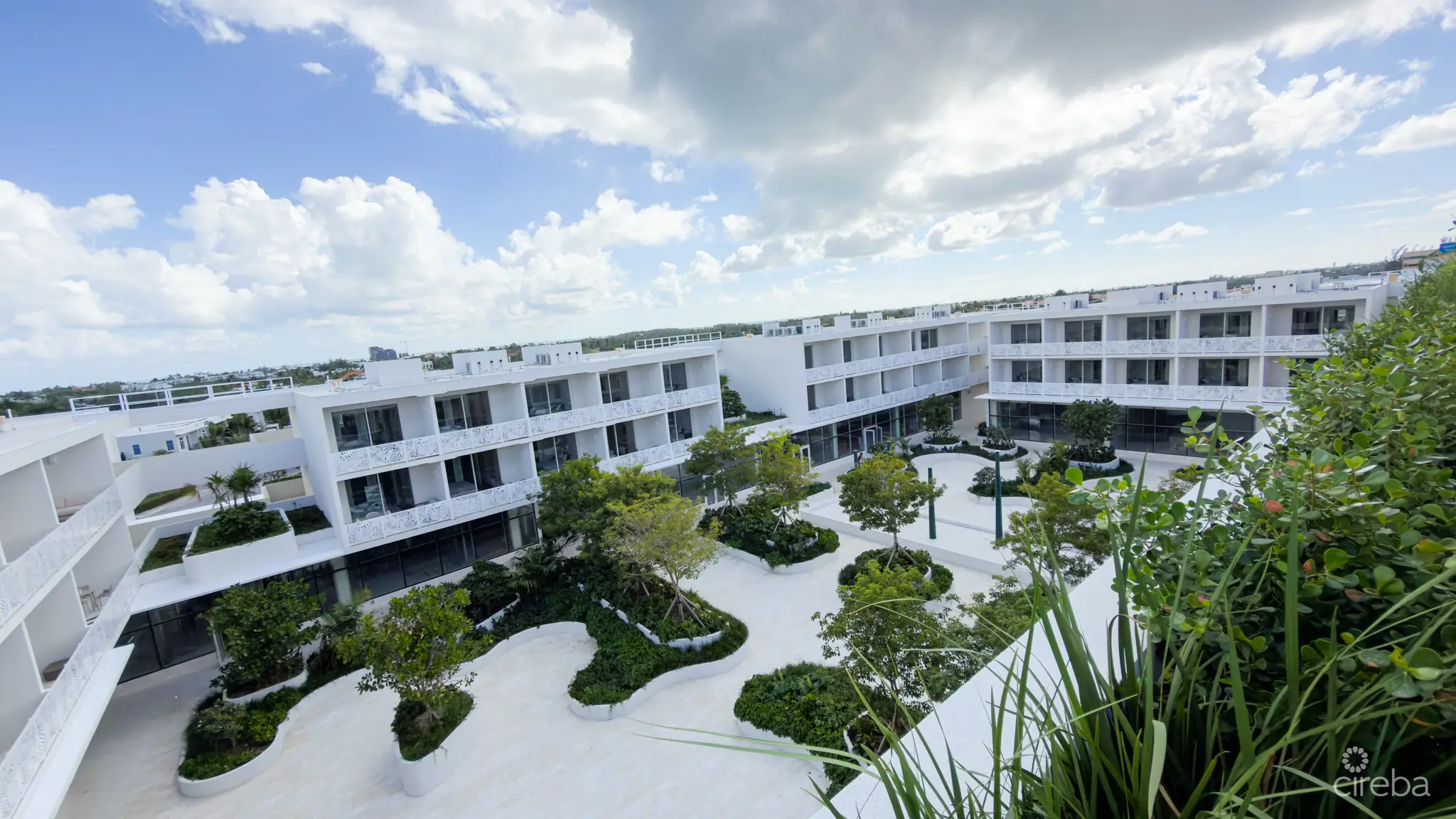 20260420103902 IMG 3025