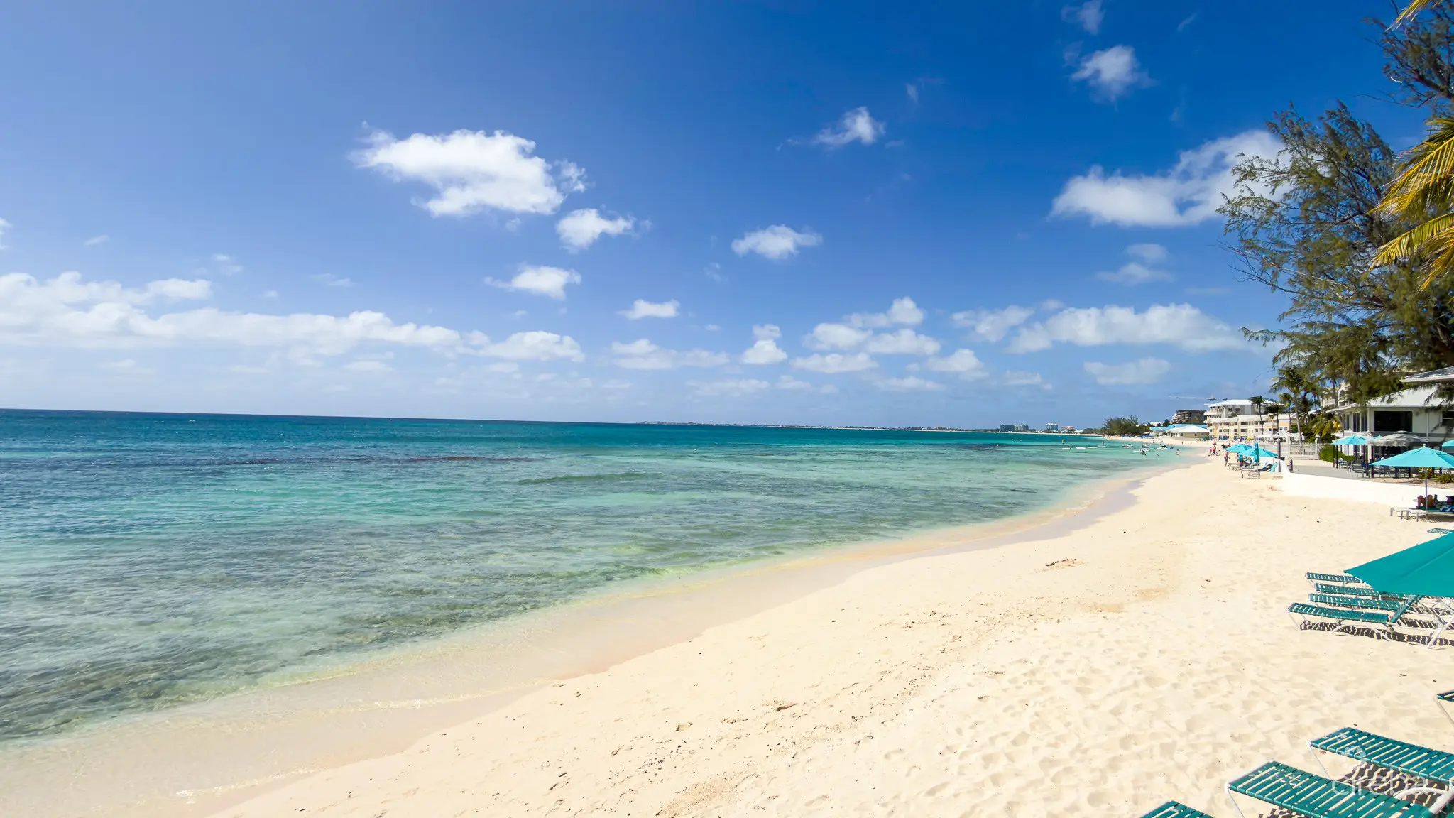 20260420164401 IMG 0134 3Edit