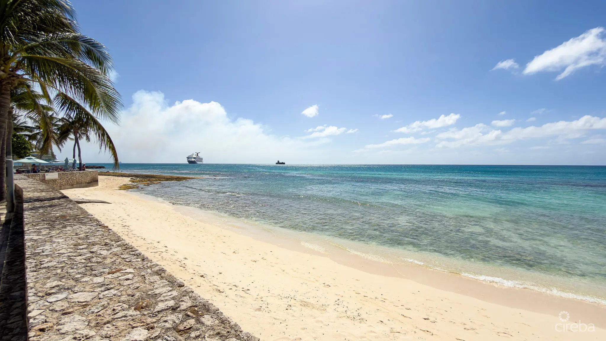 20260420164402 IMG 0143