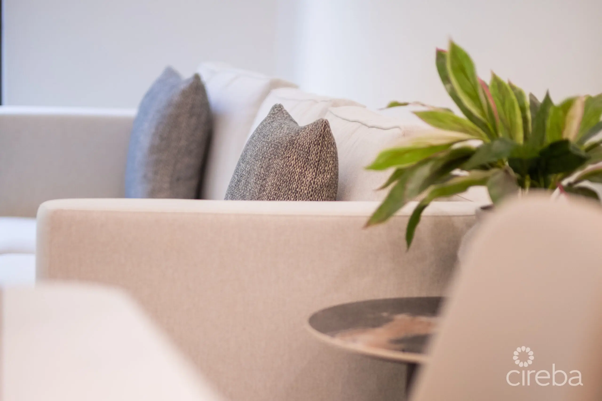 20260423124200 20260423124110 DSCF4962