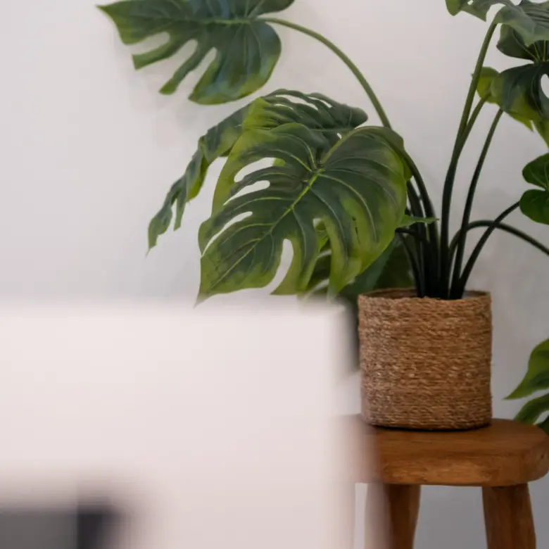 20260423124331 20260423124052 DSCF4973