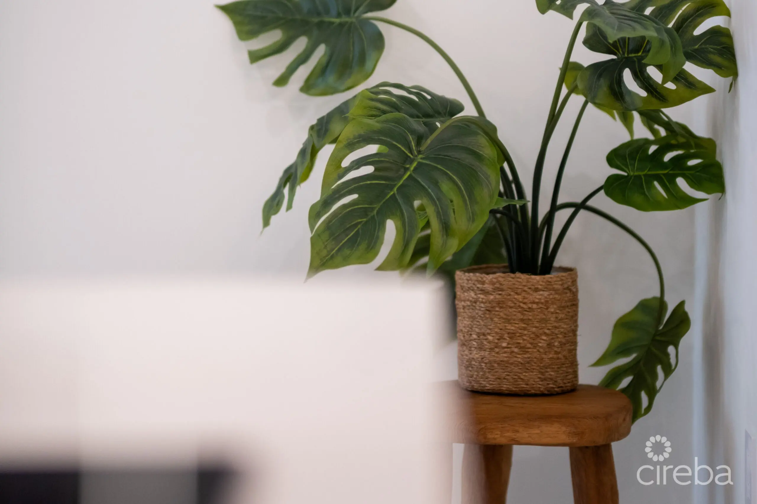 20260423124331 20260423124052 DSCF4973