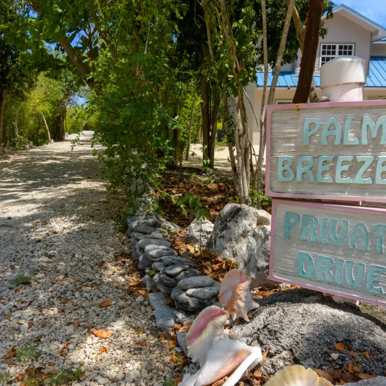 20260506091940 Palm Breezes 391 Stake Bay