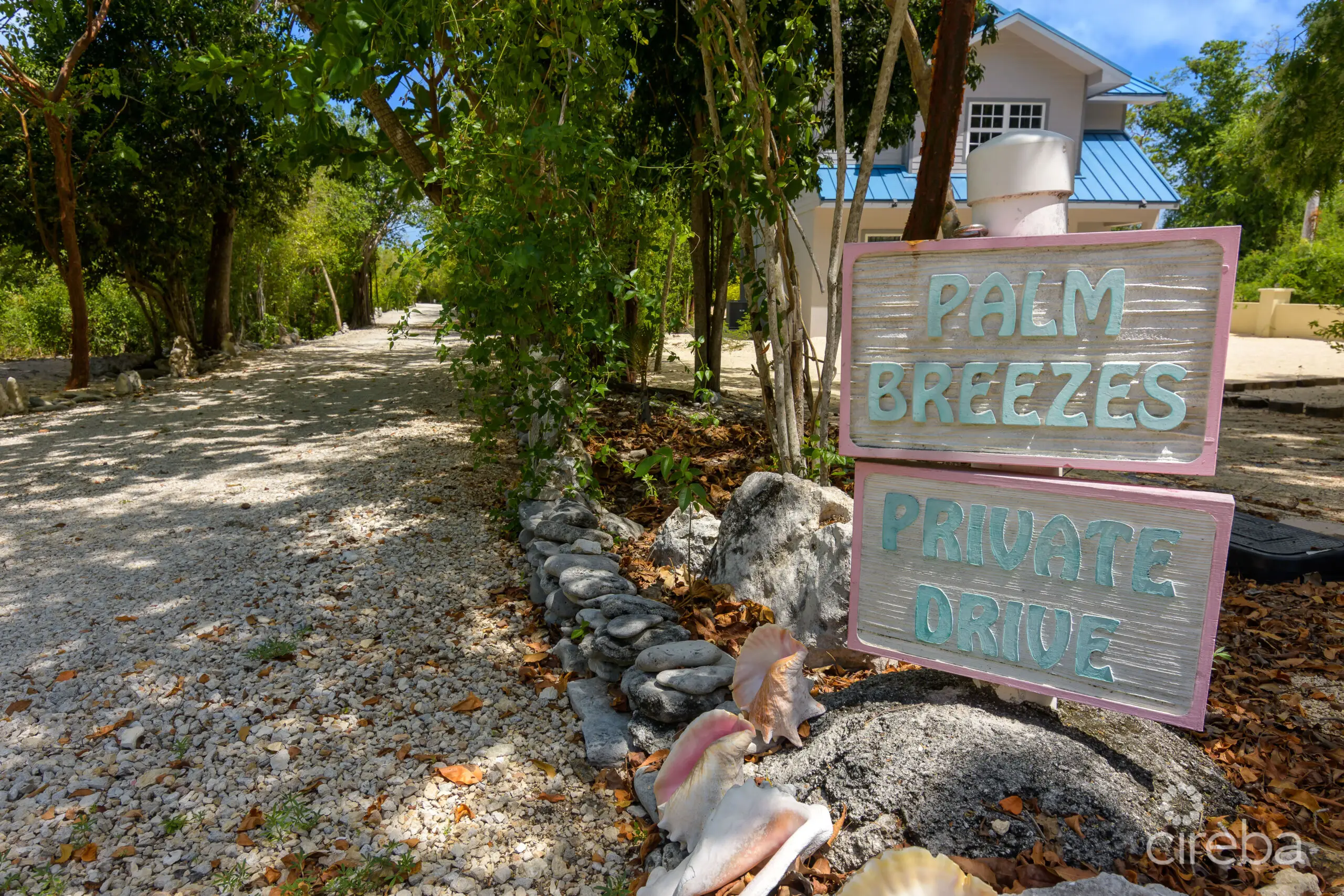 20260506091940 Palm Breezes 391 Stake Bay