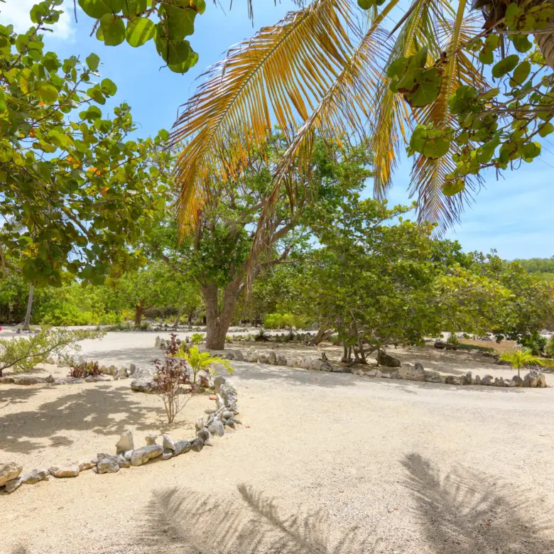 20260506092021 Palm Breezes 391 Stake Bay