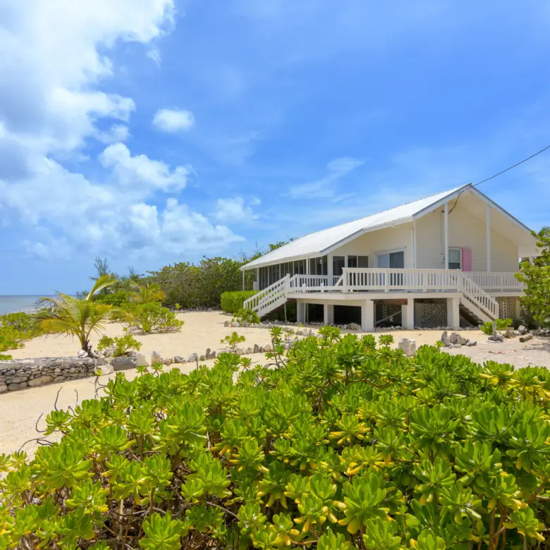 20260506092030 Palm Breezes 391 Stake Bay