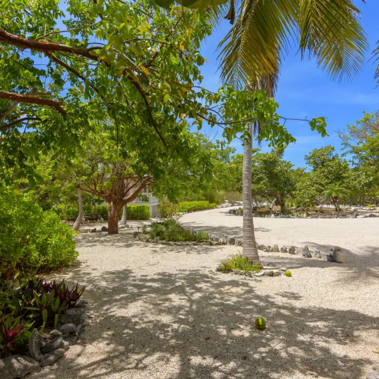20260506092115 Palm Breezes 391 Stake Bay