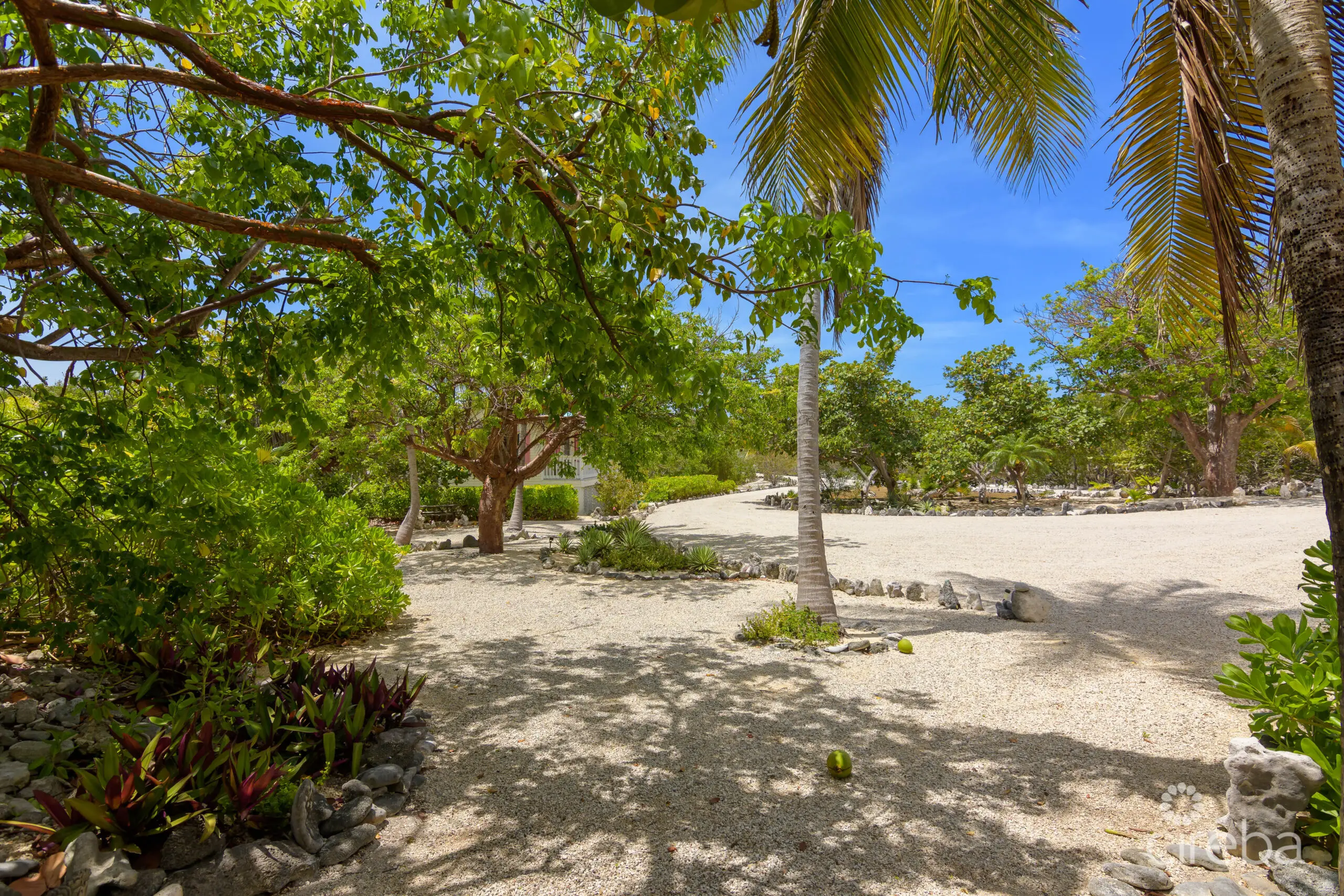 20260506092115 Palm Breezes 391 Stake Bay