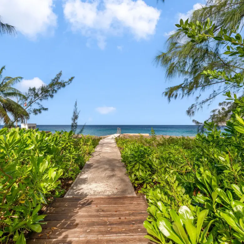 20260424114919 DSC02635