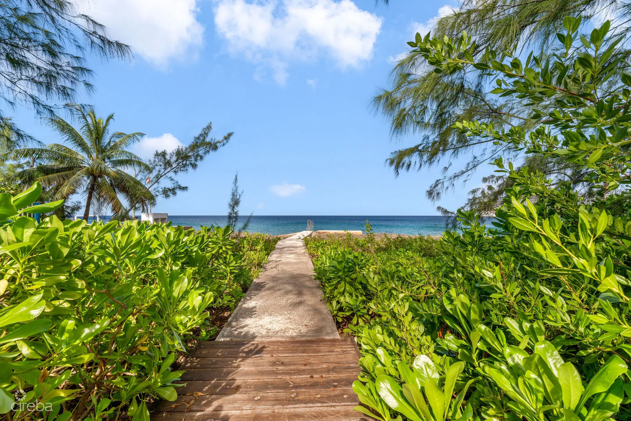 20260424114919 DSC02635