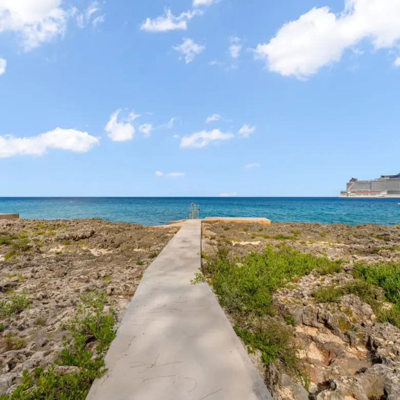 20260424115121 DSC02655