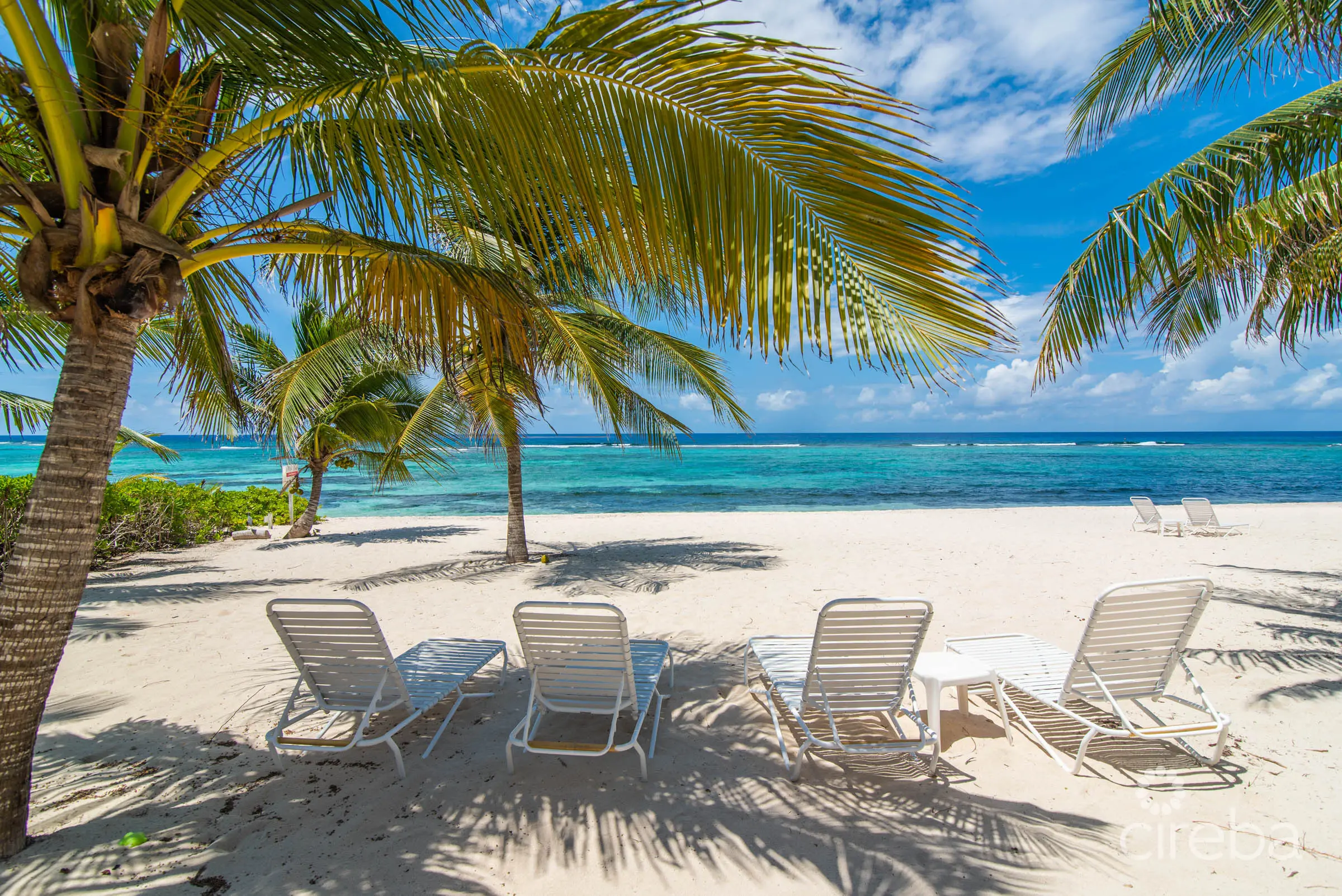 20260507164224 15Stefan PriorCoral Bay Village 13 Beachfront CondoProperty Cayman Real Estate