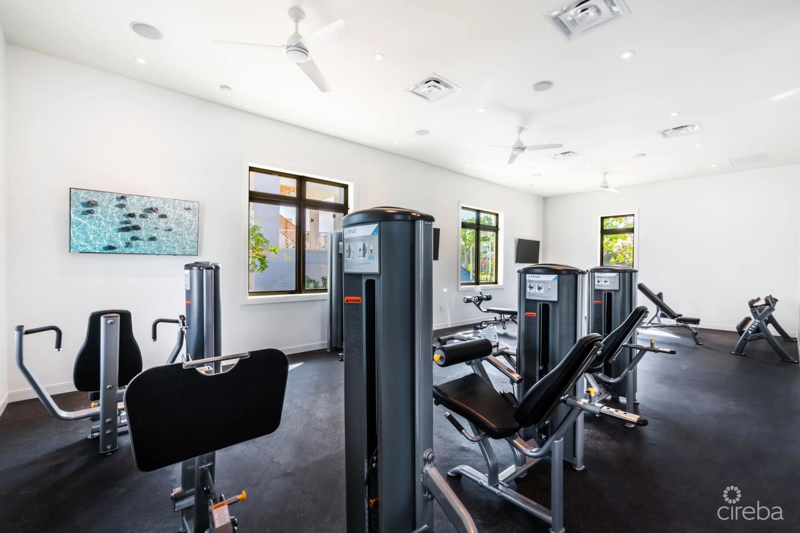 20260507155623 11Stefan PriorOLEA 117 Canal Front Duplex Camana BayProperty Cayman Real Estate