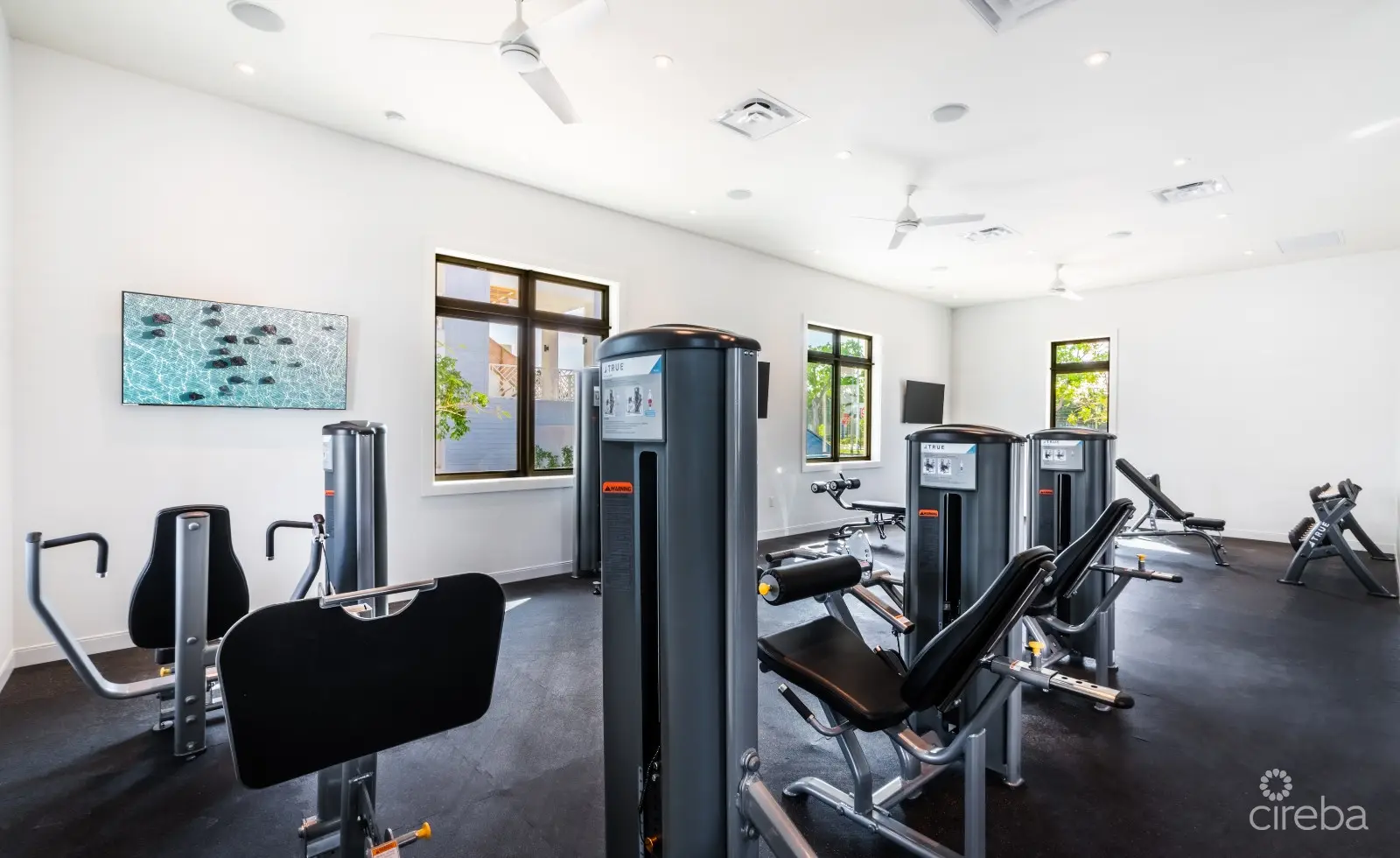 20260507163102 10Stefan PriorMichael JosephOLEA 225 3 Bed Townhome Camana BayProperty Cayman Real Estate