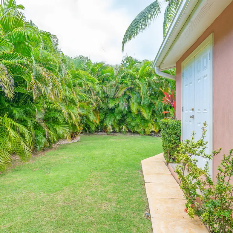 20260509201847 Side Yard