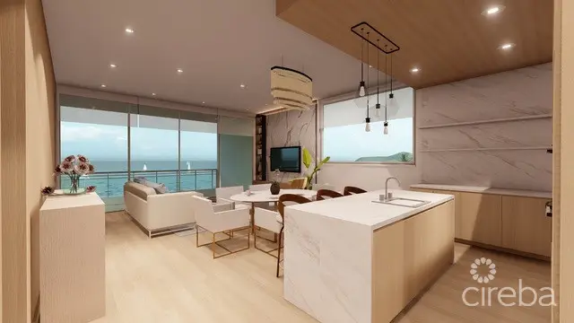 20260515000056 Unit A Living and Kitchen view