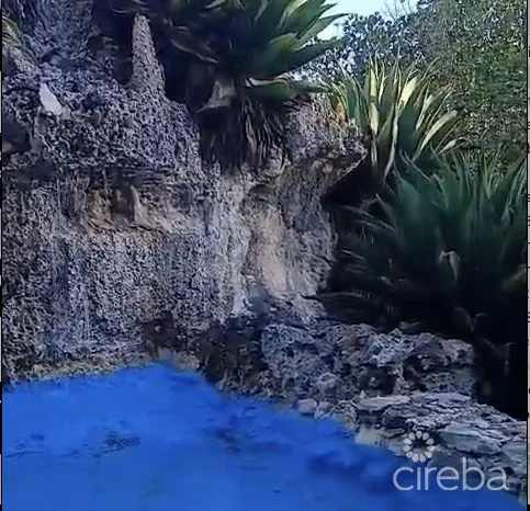20260529110645 Pond1