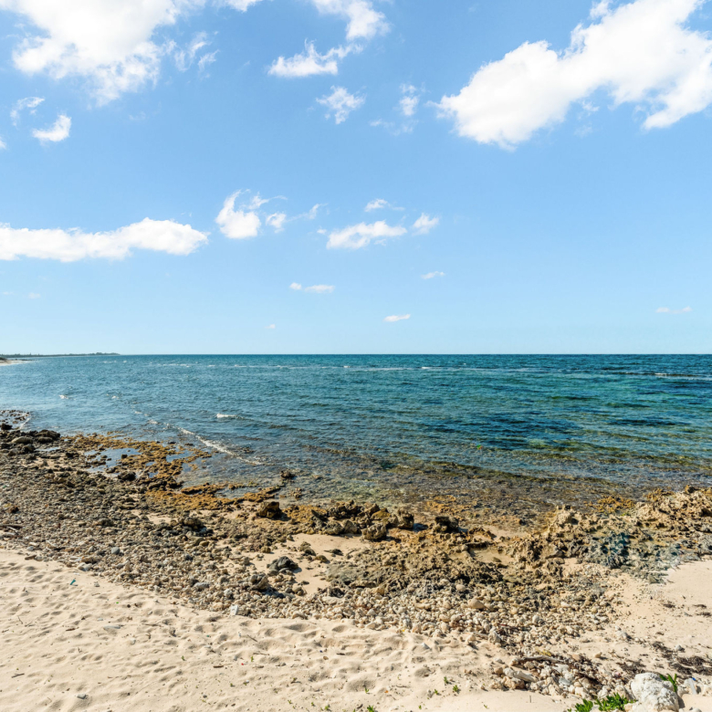 20260610135203 DSC05096