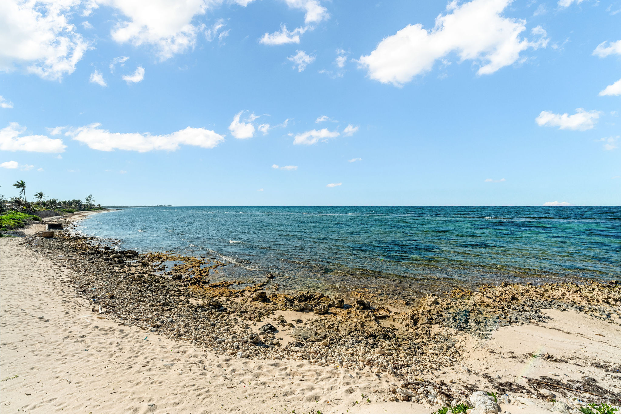 20260610135203 DSC05096