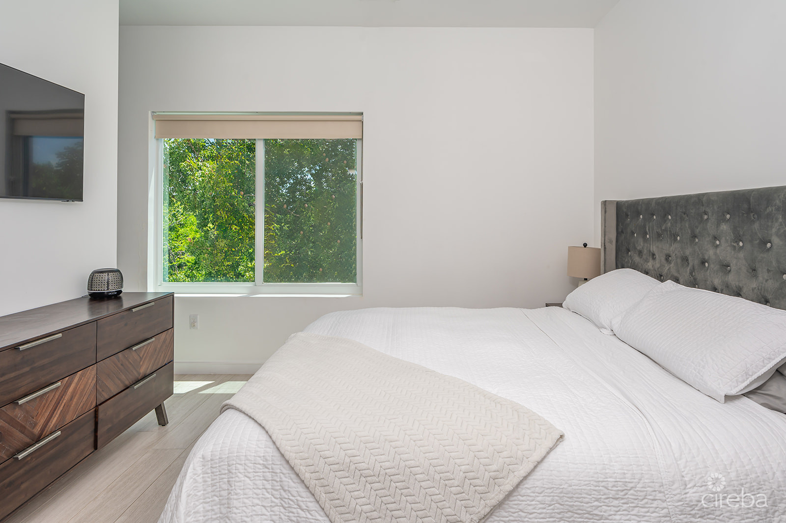 20260617114427 6Gregg ArnoldVivi 8Property Cayman Real Estate