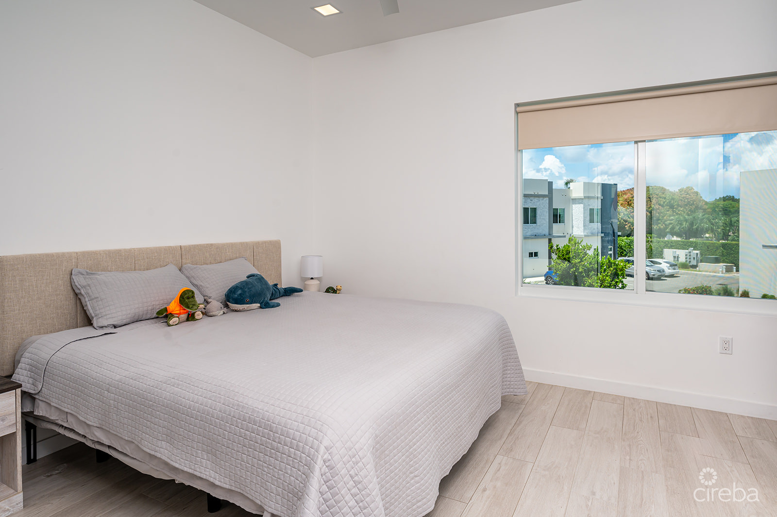 20260617114427 8Gregg ArnoldVivi 8Property Cayman Real Estate