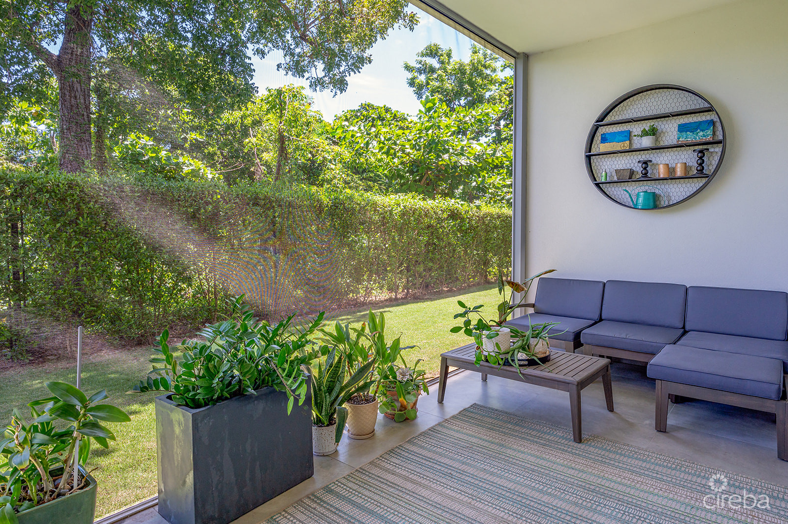 20260617114429 12Gregg ArnoldVivi 8Property Cayman Real Estate