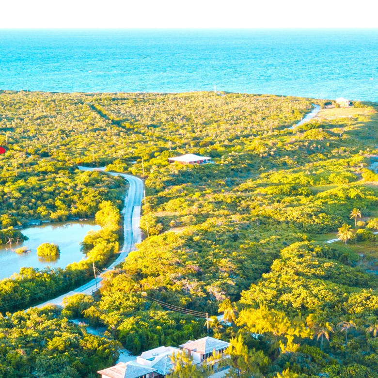 20260625171418 Little Cayman13 copy lines cropped