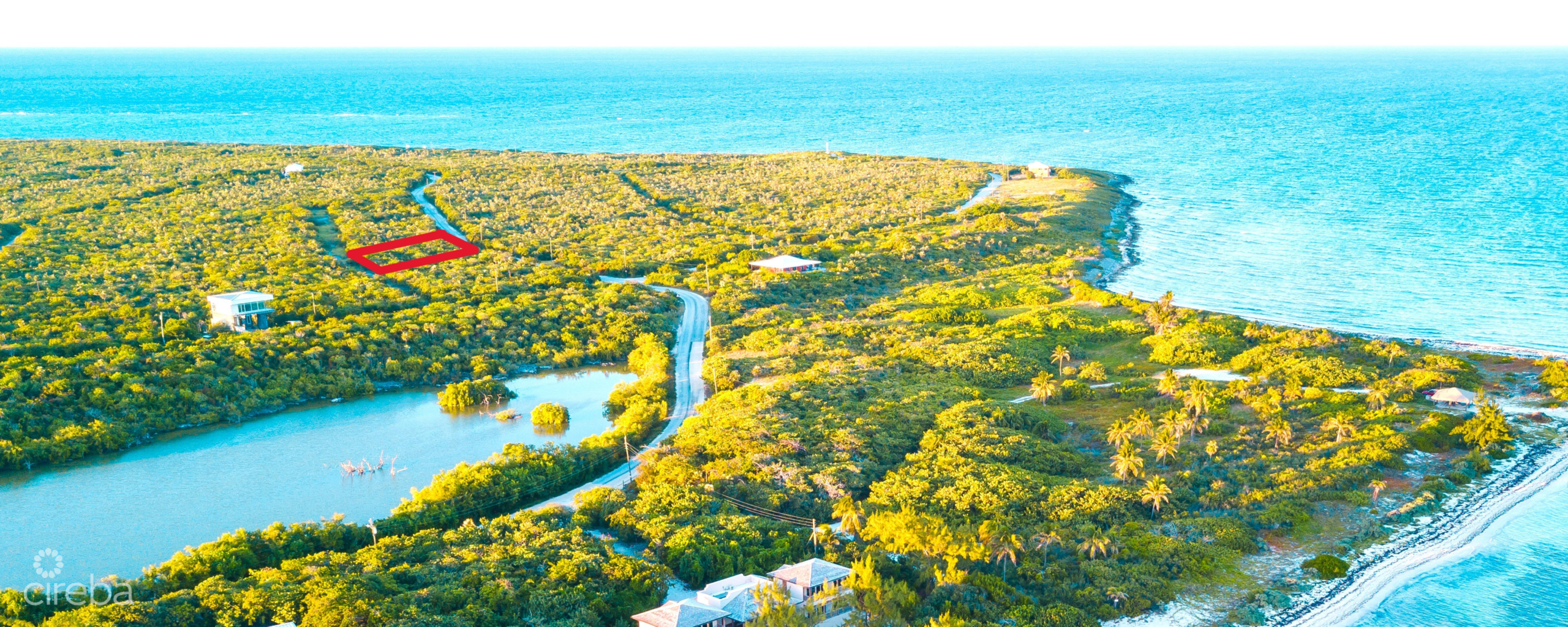 20260625171418 Little Cayman13 copy lines cropped