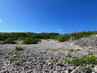 20260703165051 image004