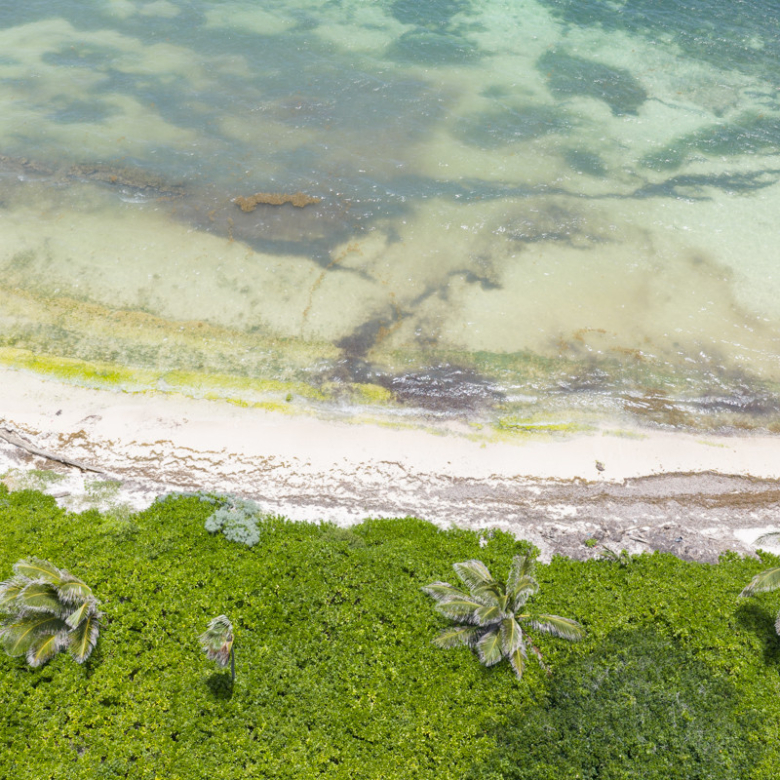 RUM POINT BEACH FRONT LOT