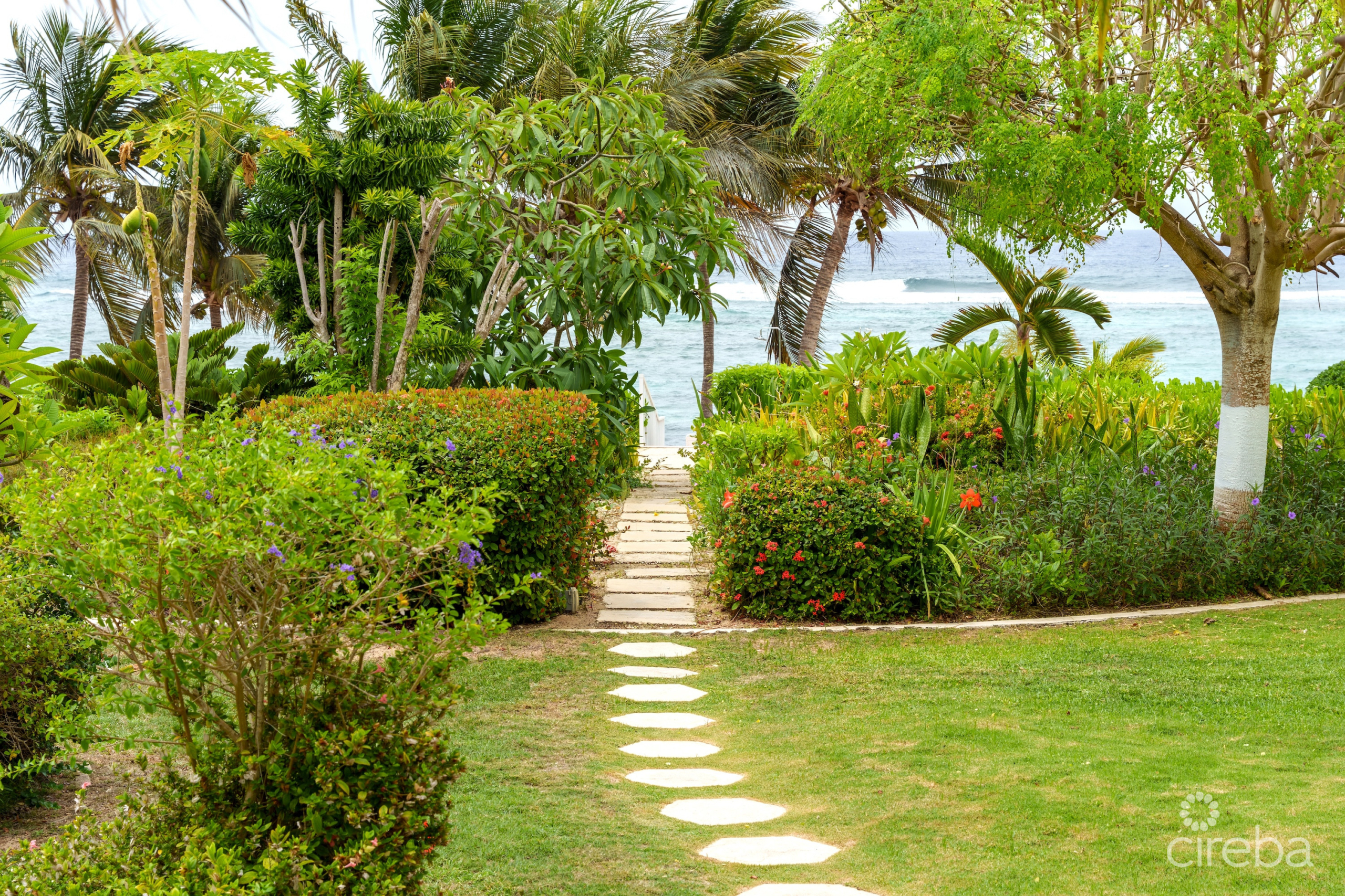 20260707121017 Garden View