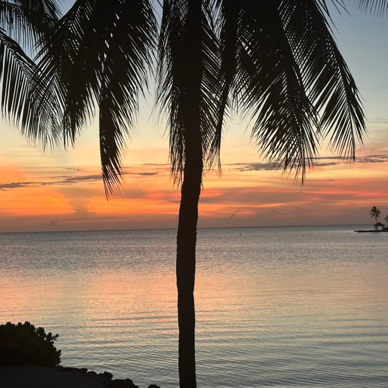 20260708141934 11Michael Joseph Joshua HewWater Cay Road 054 AcresProperty Cayman Real Estate