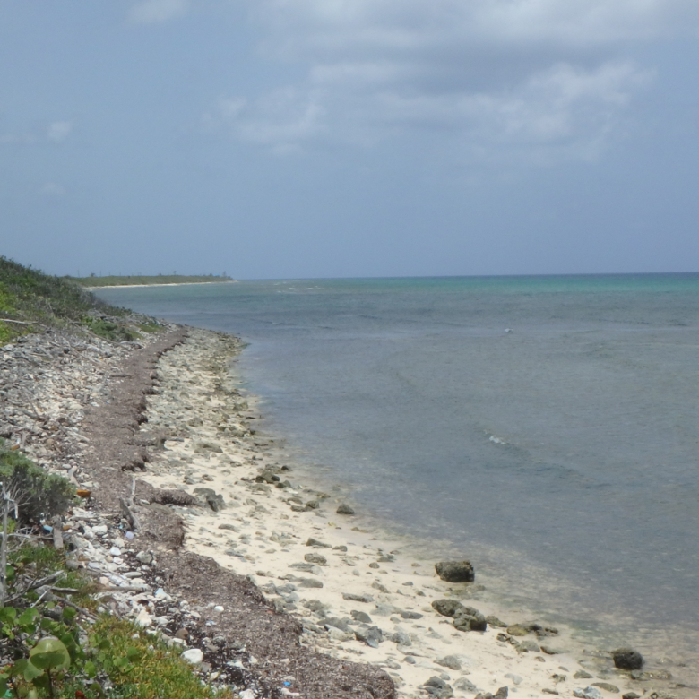 LITTLE CAYMAN NORTH SIDE OCEAN FRONT LAND